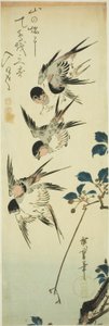 Fecskék és virágzó ág alkotó: Utagawa Hiroshige