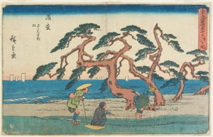 A fenyőmező Hamamatsuban alkotó: Utagawa Hiroshige
