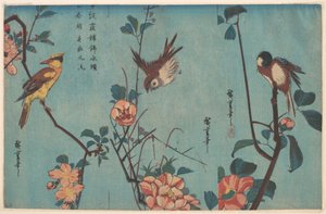 Cinege és kaméliák (jobbra), veréb és vadrózsák (középen), valamint feketenyakú sárgarigó és cseresznyevirágok (balra) alkotó: Utagawa Hiroshige