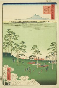 Nézet és Te rth Asuka Hikiltől (Asukayama Kita no Chobo), a Te sorozatból: "Ridge dre d Fa nets Views of Edo (Edo száz híres képe)" alkotó: Utagawa Hiroshige