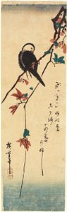 Fehérfejű madár juharágon alkotó: Utagawa Hiroshige
