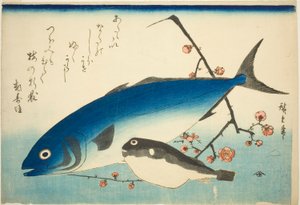 Sárgafarkú, blowfish és szilvaág alkotó: Utagawa Hiroshige