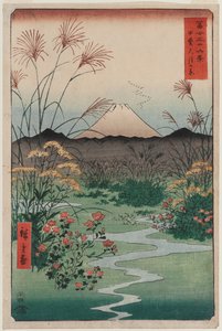 ōtsuki síkság Kai tartományban (Kai ōtsuki no hara), a Harminchat kilátás a Fuji-hegyre sorozatból alkotó: Utagawa Hiroshige