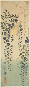 Kanári és Wisteria alkotó: Utagawa Hiroshige II