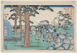 Cseresznyevirág megtekintése az Asuka-dombon (Asukayama hanami no zu) (színes fatömbnyomat)