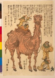 Egy Camel, kocsma. 1824 (kézzel színezett fametszet) alkotó: Utagawa Kuniyasu