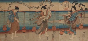 A Plover Crystal River Mutsu tartományban alkotó: Utagawa Kuniyoshi