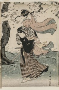 Cseresznyevirágok a szélben alkotó: Utagawa Toyokuni