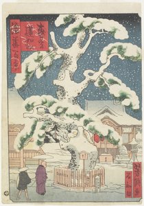 Rennyo-fenyőfa Miyanomoriban, 19. század (színes fatömbnyomat) alkotó: Utagawa Yoshitaki