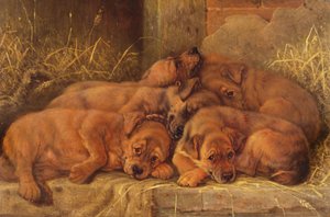 Puppy Love