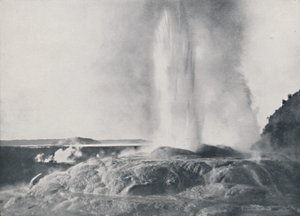 Gejzír, Új-Zéland, 1924 alkotó: Valentine and Sons Ltd