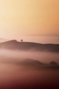 Lone Tree Aranyköd alkotó: Vanja Tajnsek