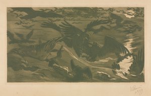 Ragadozó madarak, 1893.