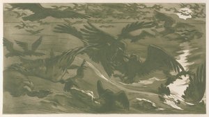 Ragadozó madarak, 1893.