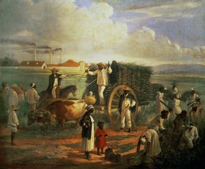 Kána malma alkotó: Victor Patricio Landaluce