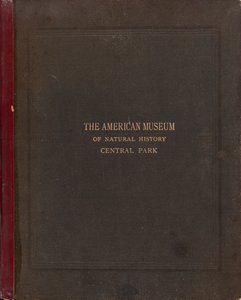Az Amerikai Természettudományi Múzeum fényképalbuma, Central Park, New York City