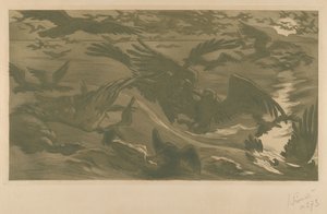Ragadozó madarak Ragadozó madarak, 1893.