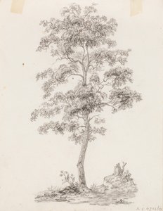 Fa
