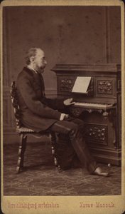 Franz Friedrich Richard Genée librettista és zeneszerző portréja 1823-1895, kb. 1880-1885. alkotó: Vienna . Photo studio Xaver Massak