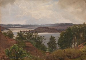Laveni tavak Silkeborg mellett alkotó: Vilhelm Kyhn