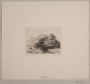 Erdő széle alkotó: Vilhelm Kyhn