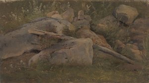 Egy kőkupac tanulmányozása alkotó: Vilhelm Petersen