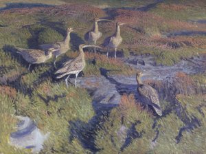 Rain Pover indulásra készen alkotó: Vilhelm Th. Fischer