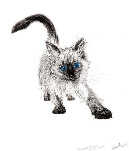 A lesben !, 2015, (tinta papíron) alkotó: Vincent Alexander Booth