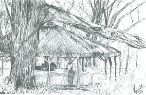 Kültéri bár, Naivasha-tó, 2006; (tinta papíron) alkotó: Vincent Alexander Booth