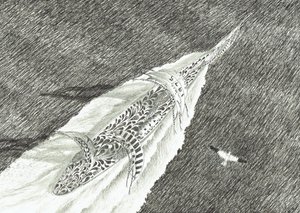 Storm Creators Cape Canaveral, 2022 alkotó: Vincent Alexander Booth