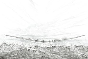Storm Creators Cape Leveque, 2023 alkotó: Vincent Alexander Booth