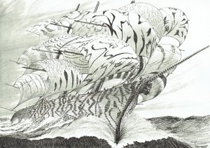 Storm Creators Lake Kariba, 2022 alkotó: Vincent Alexander Booth