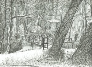 A régi fémhíd, Bramhall park, 2004 alkotó: Vincent Alexander Booth