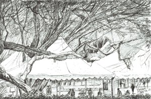 Esküvői sátrak a Nawesha-tónál Kenya, 2003 alkotó: Vincent Alexander Booth