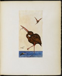 A Brown Willy, Vincent Cartwright Vickers „A Google könyvéből”. alkotó: Vincent Cartwright Vickers