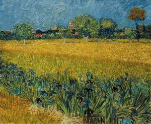 Kilátás Arles-ra, írisz virágokkal az előtérben