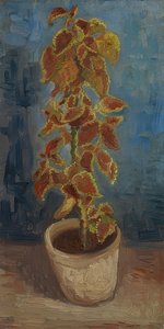 Virágcserép színes csalánnal. 1886 alkotó: Vincent van Gogh
