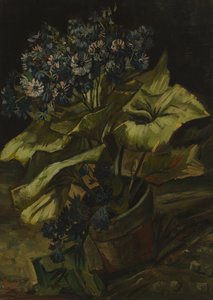 Cineraria alkotó: Vincent van Gogh