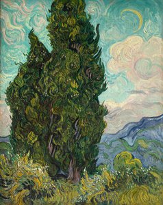 Ciprusok alkotó: Vincent van Gogh