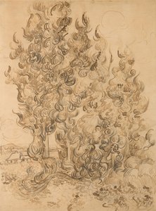 Ciprusok alkotó: Vincent van Gogh