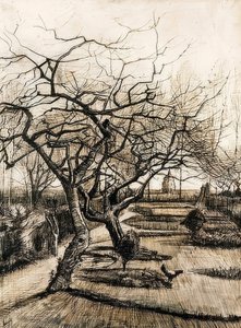 A nueneni paplak kertje. 1884 alkotó: Vincent van Gogh
