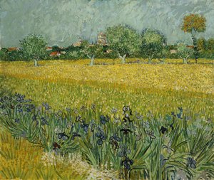 Virágos mező Arles közelében alkotó: Vincent van Gogh