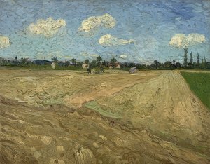 Felszántott mező (barázdák). 1888 alkotó: Vincent van Gogh