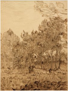 A szanatórium parkjában alkotó: Vincent van Gogh
