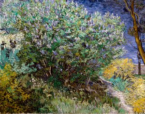 Az orgonabokor. Vincent VAN GOGH (1853-1890) alkotó: Vincent van Gogh