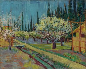 Ciprusfákkal körülvett gyümölcsös. 1888 alkotó: Vincent van Gogh