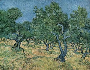 Olive Grove alkotó: Vincent van Gogh