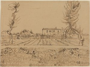 Szántóvető Arles melletti földeken alkotó: Vincent van Gogh