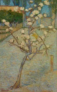 Virágzó kis körtefa alkotó: Vincent van Gogh