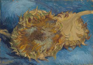 Napraforgó, 1887. alkotó: Vincent van Gogh